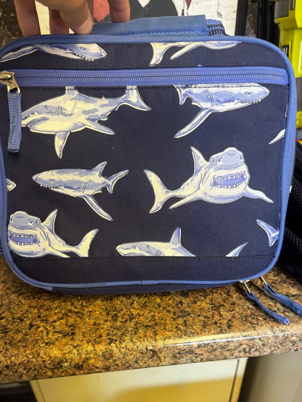 Shark Pottery Barn Lunch Box